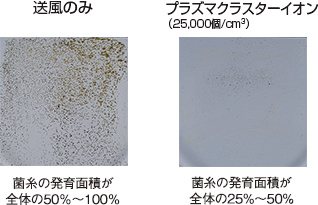 プラズマクラスターによる除菌メカニズム（イメージ図）
